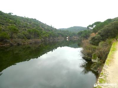 Ruta del Turrón y Polvorón - Los Pinares del Rey: naturaleza y biodiversidad; tierra de campos aizko